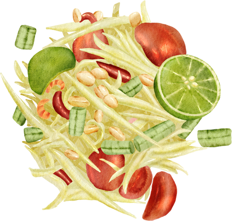 Thai papaya salad watercolor illustration