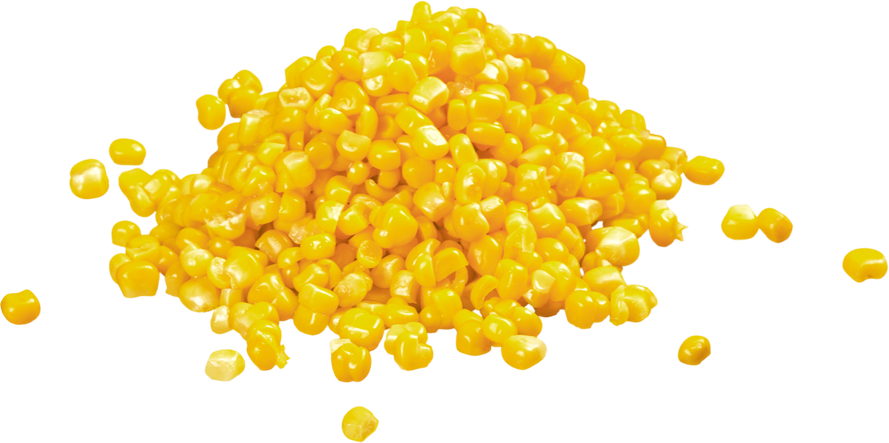 Corn Kernels 
