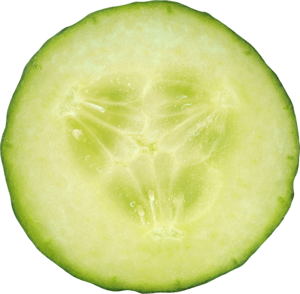 Cucumber Slice