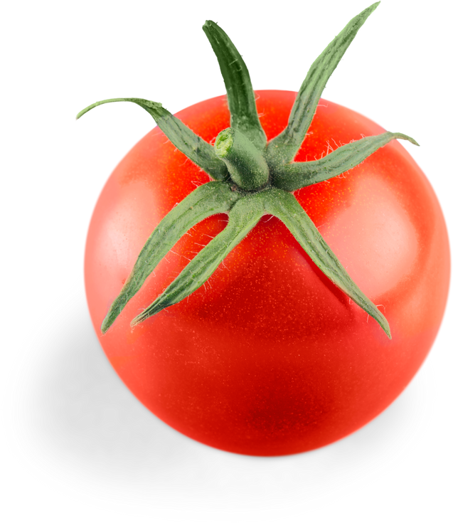 Piece of Tomato