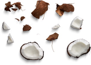 Isolated Cutout PNG