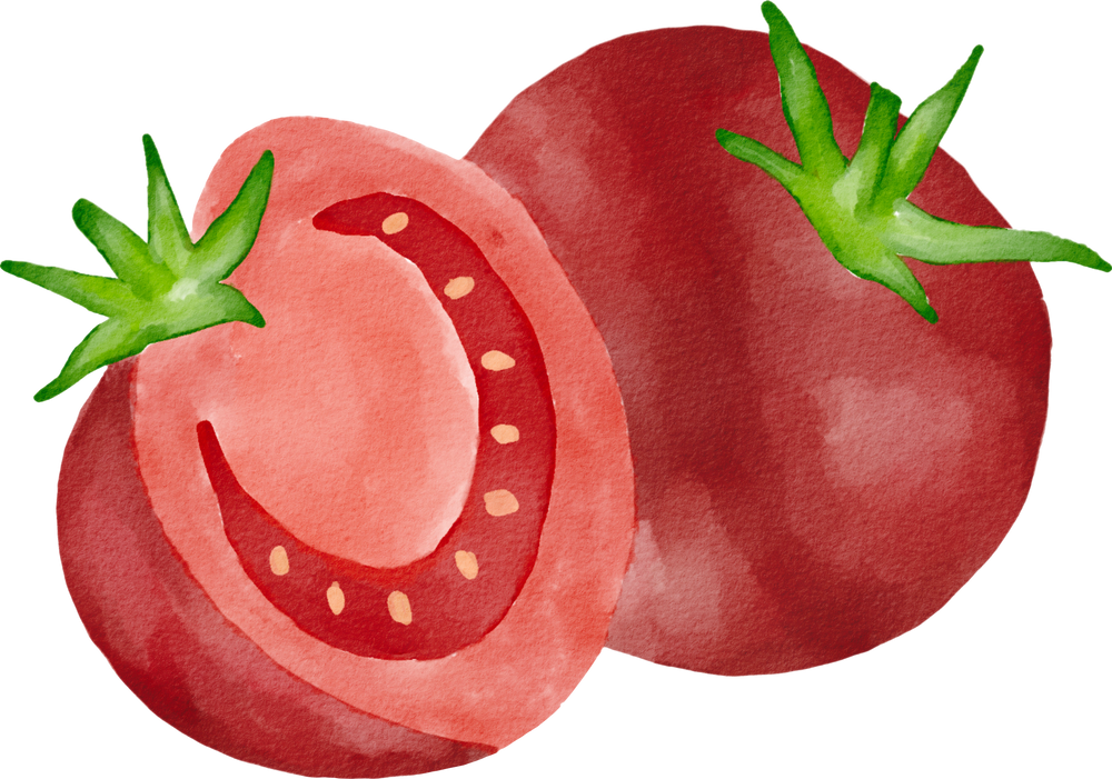 tomato watercolor