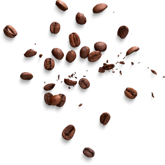 Isolated Cutout PNG